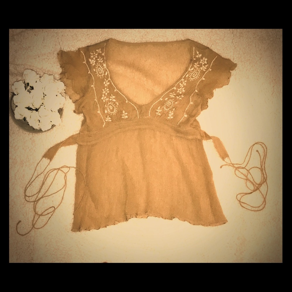 Beige Sheer  Embroidered Crepe Blouse